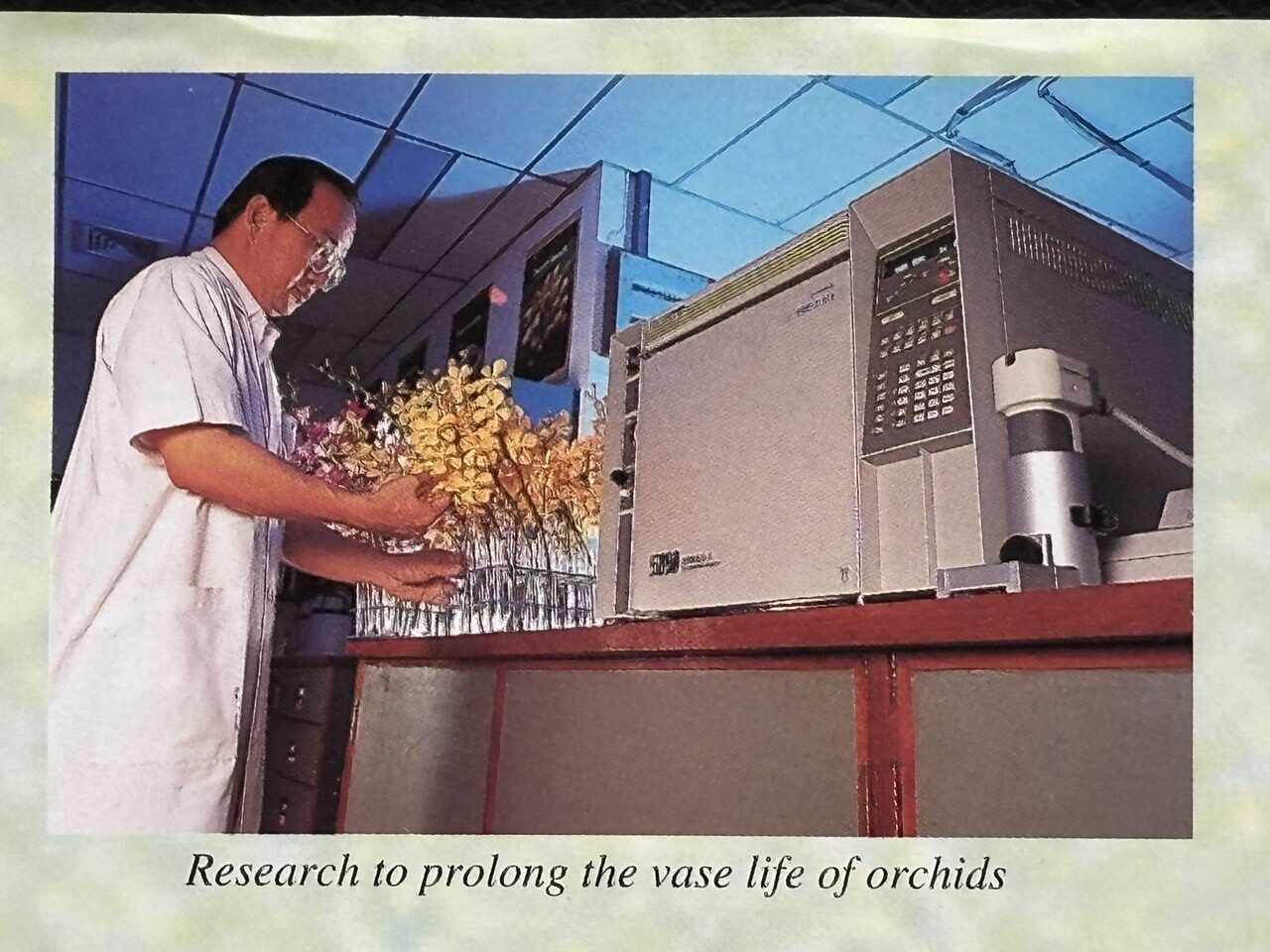 Orchid Bloom Lab