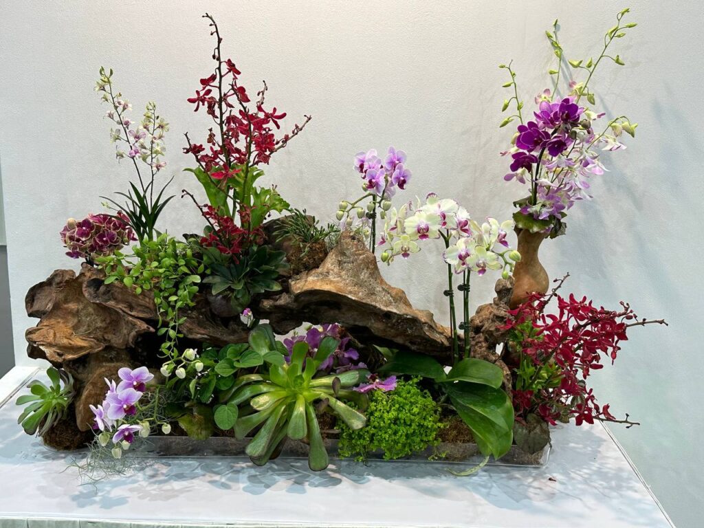 Orchid growing joy