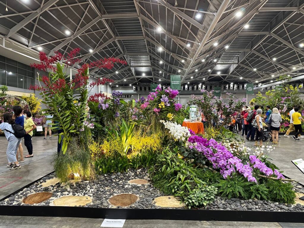 Orchid care tips
